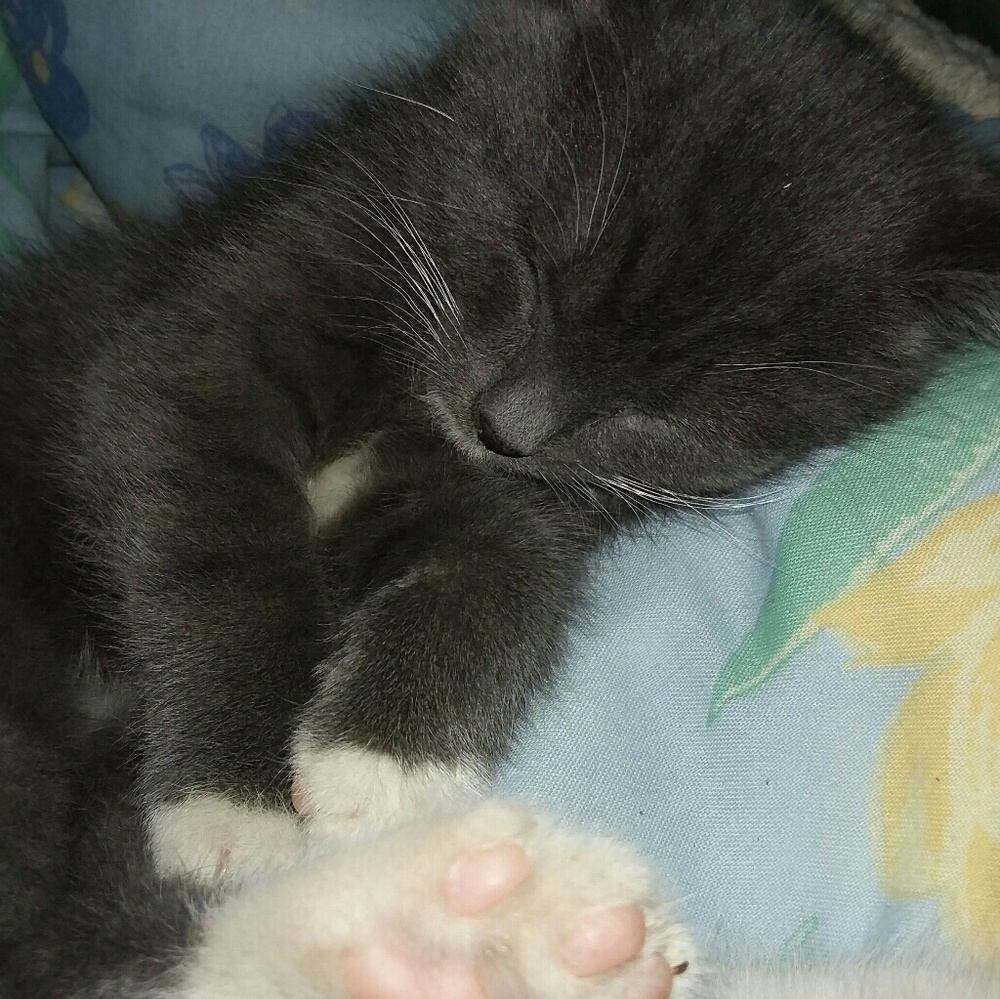 Meet your Posher, Tiffany